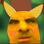 npc