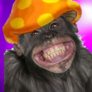 ricemonkey