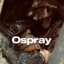 YouTube@Ospray24