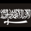 The Mujahideen