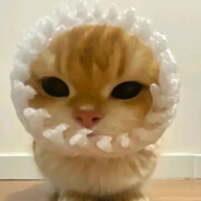 我的学历水分多所以你