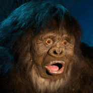 The Real Bigfoot