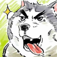 猫南北