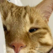 YH | Kế Bên Vẫn Hụt