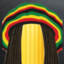 Reggae Toni