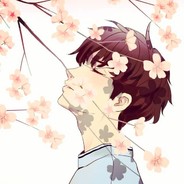 有只会后空翻的猫