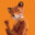 Fantastic Mr. Fox