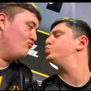 海鸥不再眷恋大海