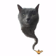 Mr.Balls