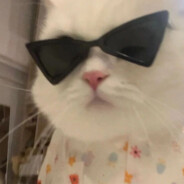 职业法师刘海柱