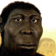 AUSTRALOPITHECUS