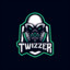 Twizzer-TTV