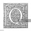 The Q
