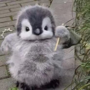 小丸子就熬夜995