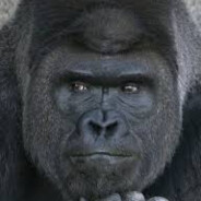 id-Shabani