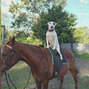 МИЯГИ#Bummerrust