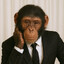 CatatonicChimp