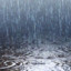 RayneStorm31