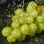влажный виноград
