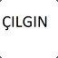 ÇILGIN