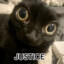 Gato Justo