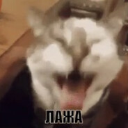 Вынос Deda Steam avatar