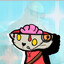 *.Scout Cat.*