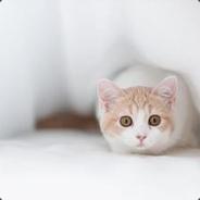 ( * □ω□)✄ ひ