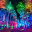 ElectricForest