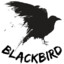 Blackbird