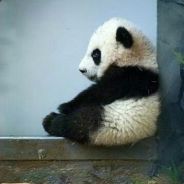 从角色中抽离出来