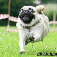 Asgi2.0 - steam id 76561199483874887