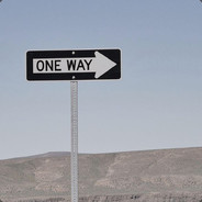 Southeast Asian Monkey