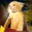 Tuxudita