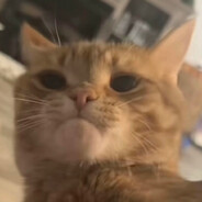 Sir Kwatos
