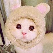 皮皮门其实不皮