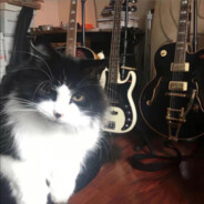 可 惜 思 念 无 声