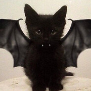 Sqwerty - steam id 76561199570283054