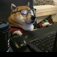 玫瑰终究会枯萎