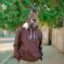 losepy1