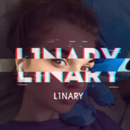 L1nary - steam id 76561199291991263