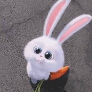 [STP]-Andy
