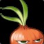 Onion