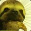 TheGoldenSloth