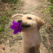 Flo - steam id 76561199176433616