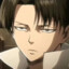 Levi