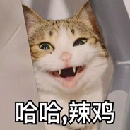 扛过枪也打过炮