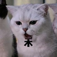 莱因哈特不想举盾