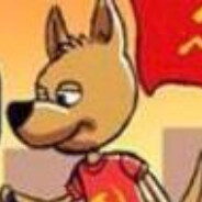 jezz_dingo