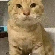 阿雷不相信阿巍